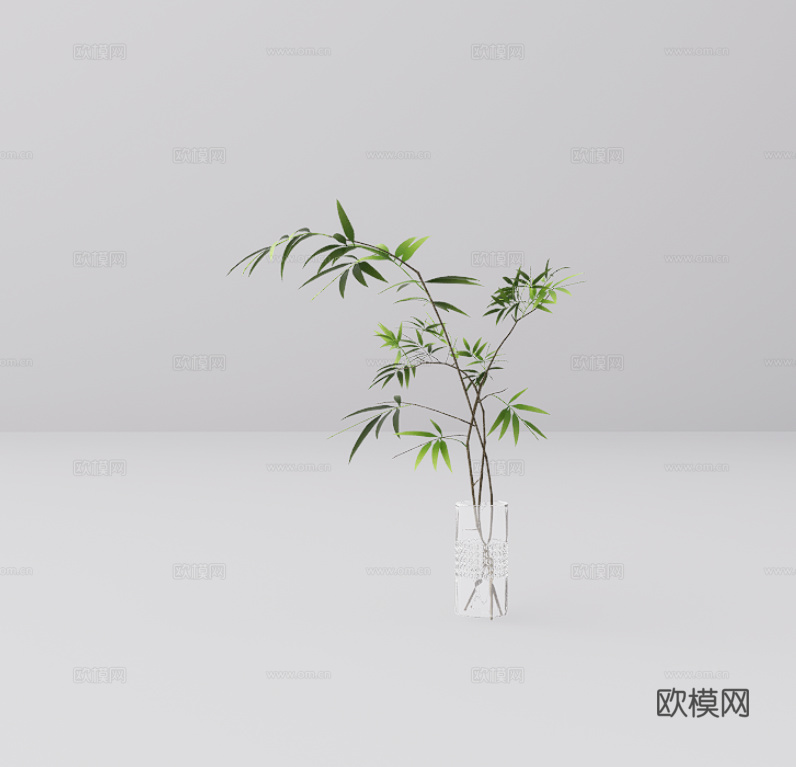 玻璃瓶绿植su模型