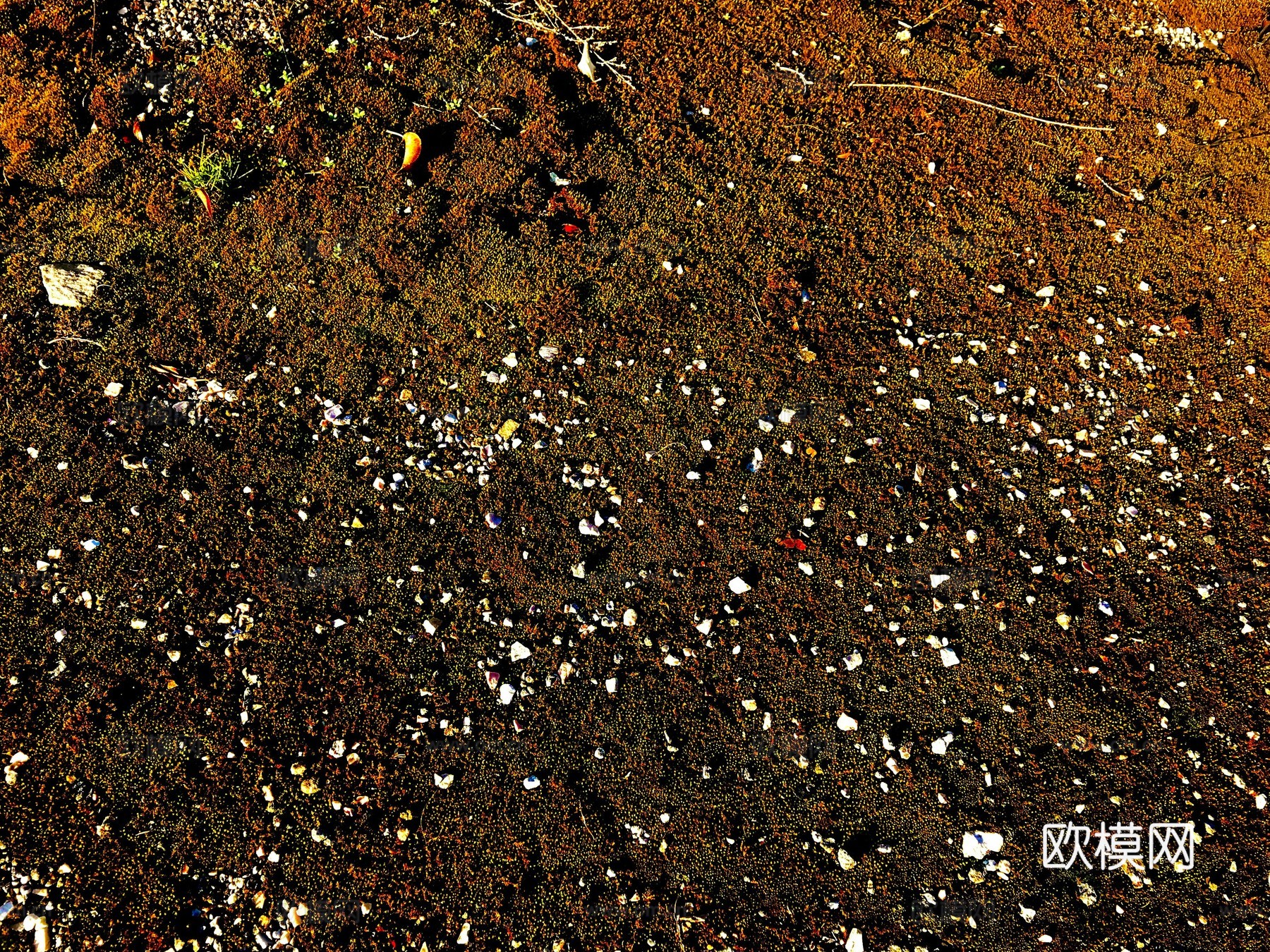 户外草地、雪地、地石砖、泥地碎石地表下载