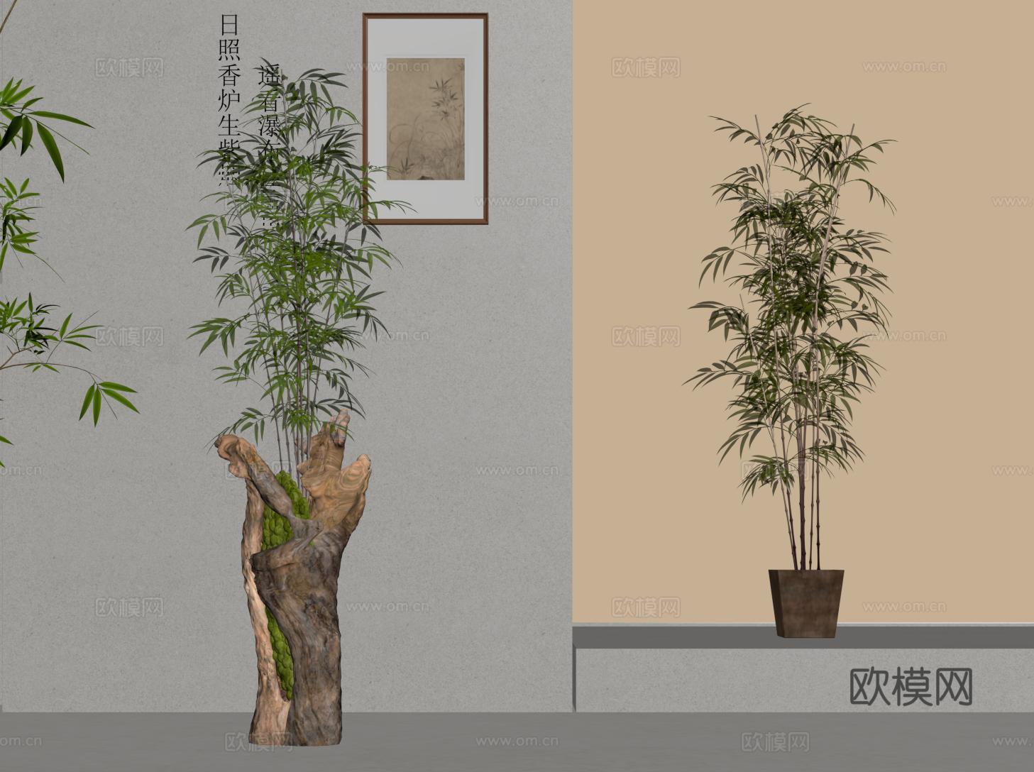 新中式竹子 盆栽 盆景su模型