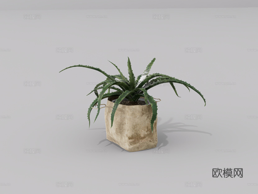 绿植盆栽su模型