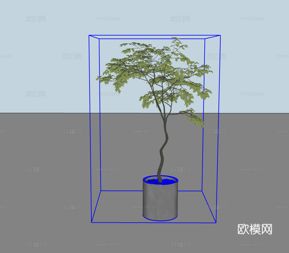 绿植盆栽su模型