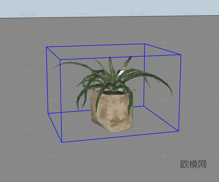 绿植盆栽su模型