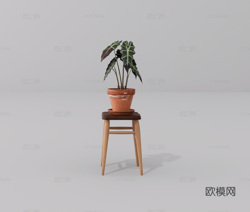 植物盆栽su模型