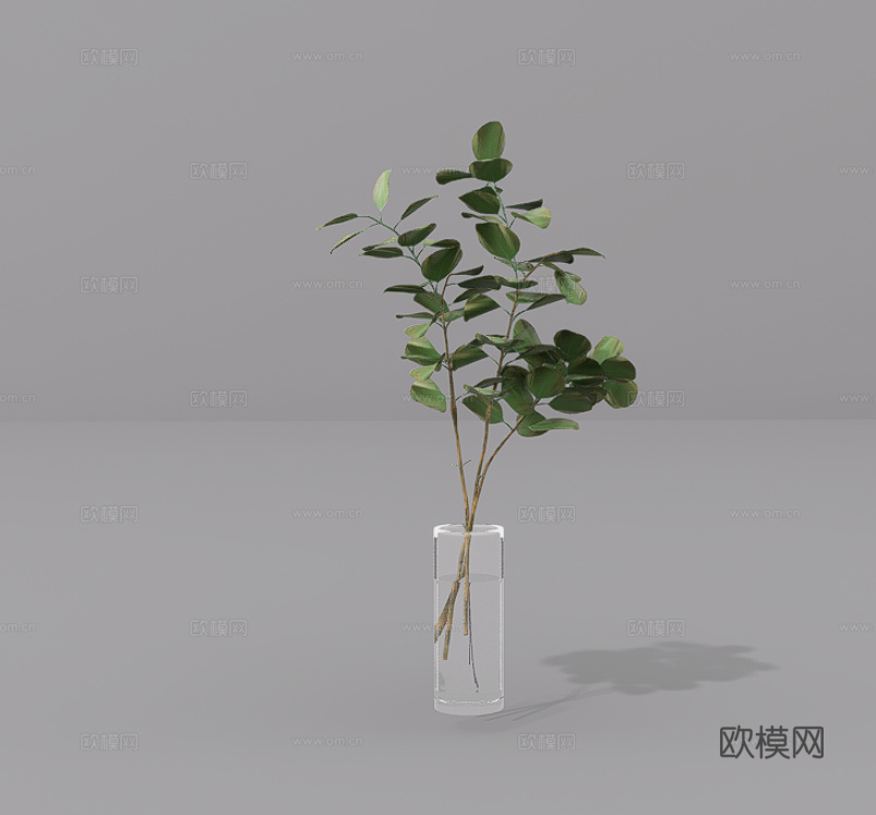 植物摆件su模型