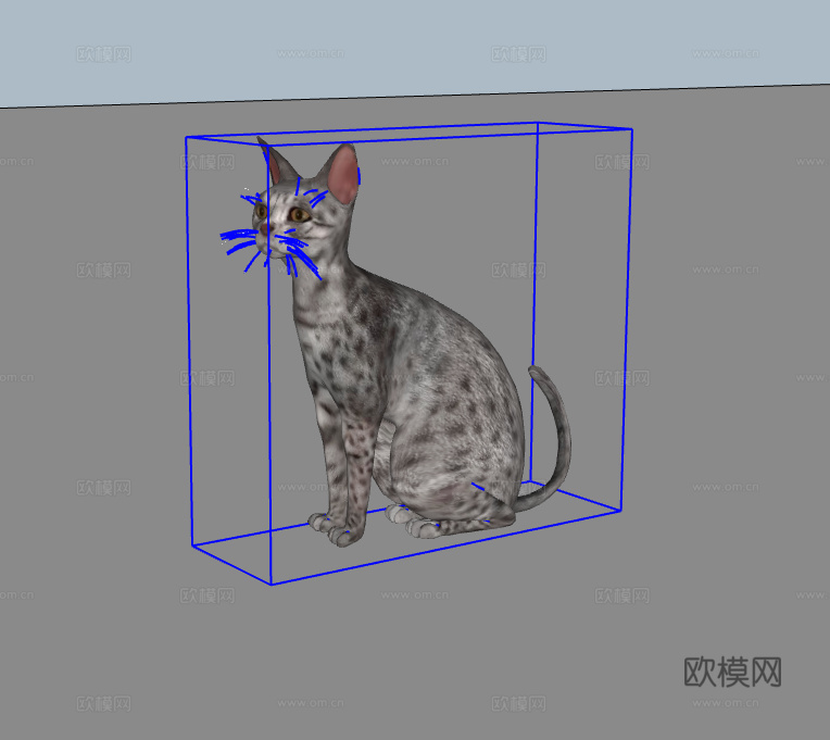 猫su模型