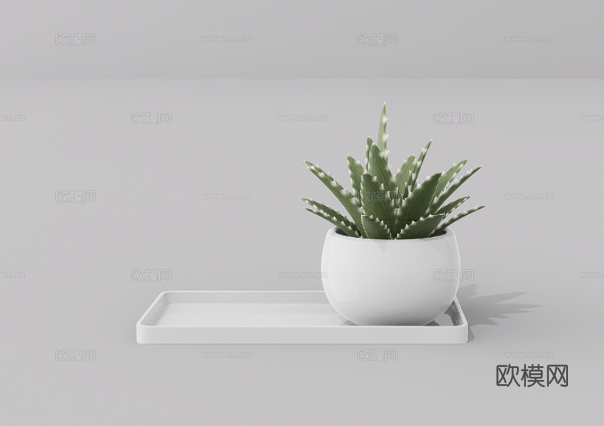 植物盆栽su模型
