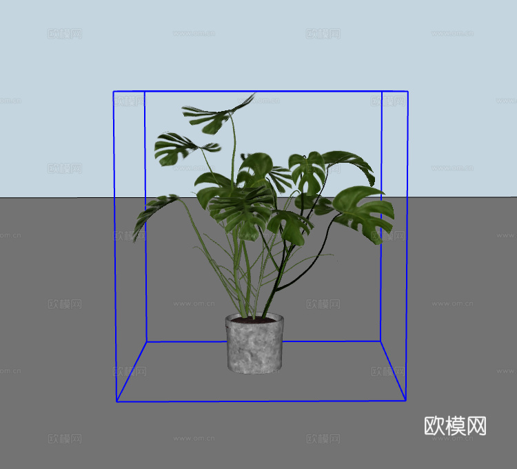 绿植盆栽su模型