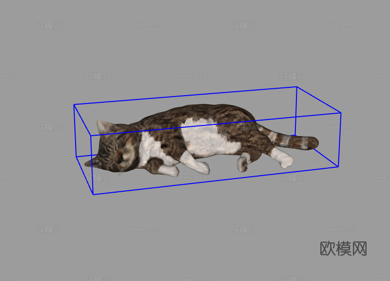 猫su模型