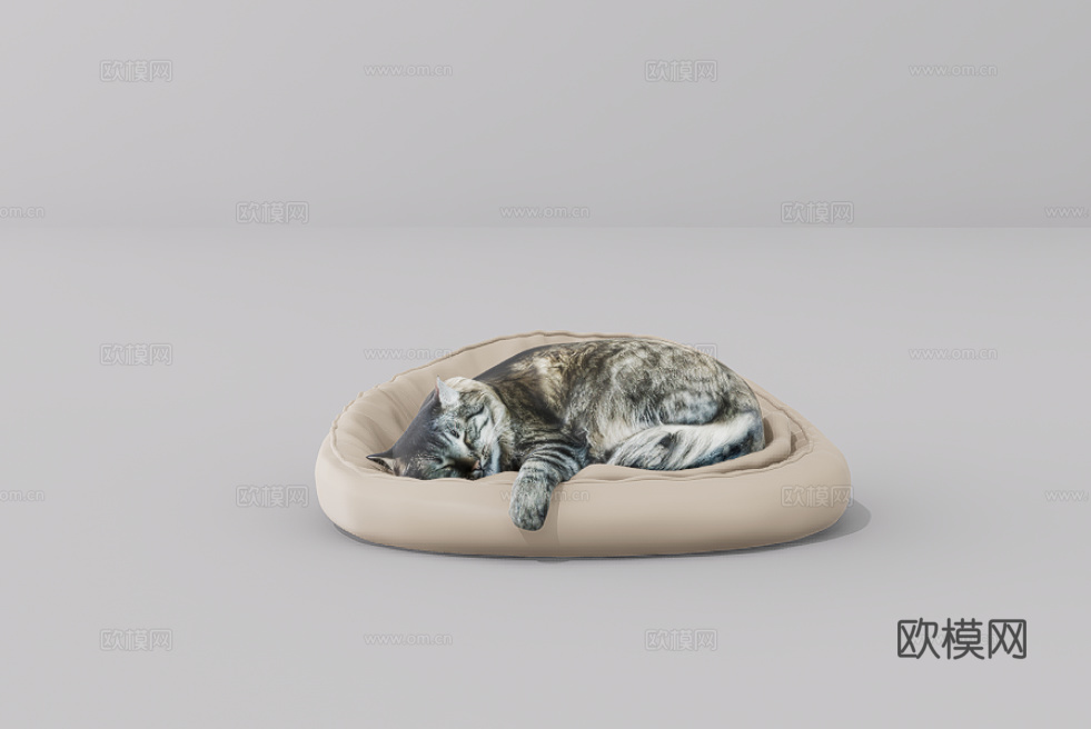 猫su模型