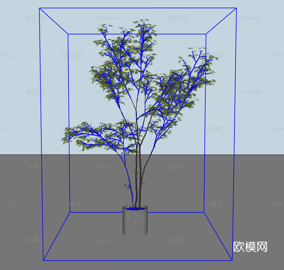 绿植盆栽su模型