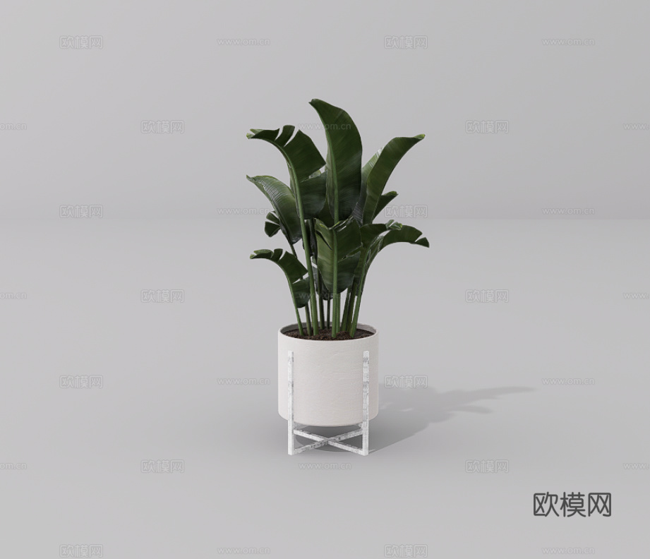 绿植盆栽su模型