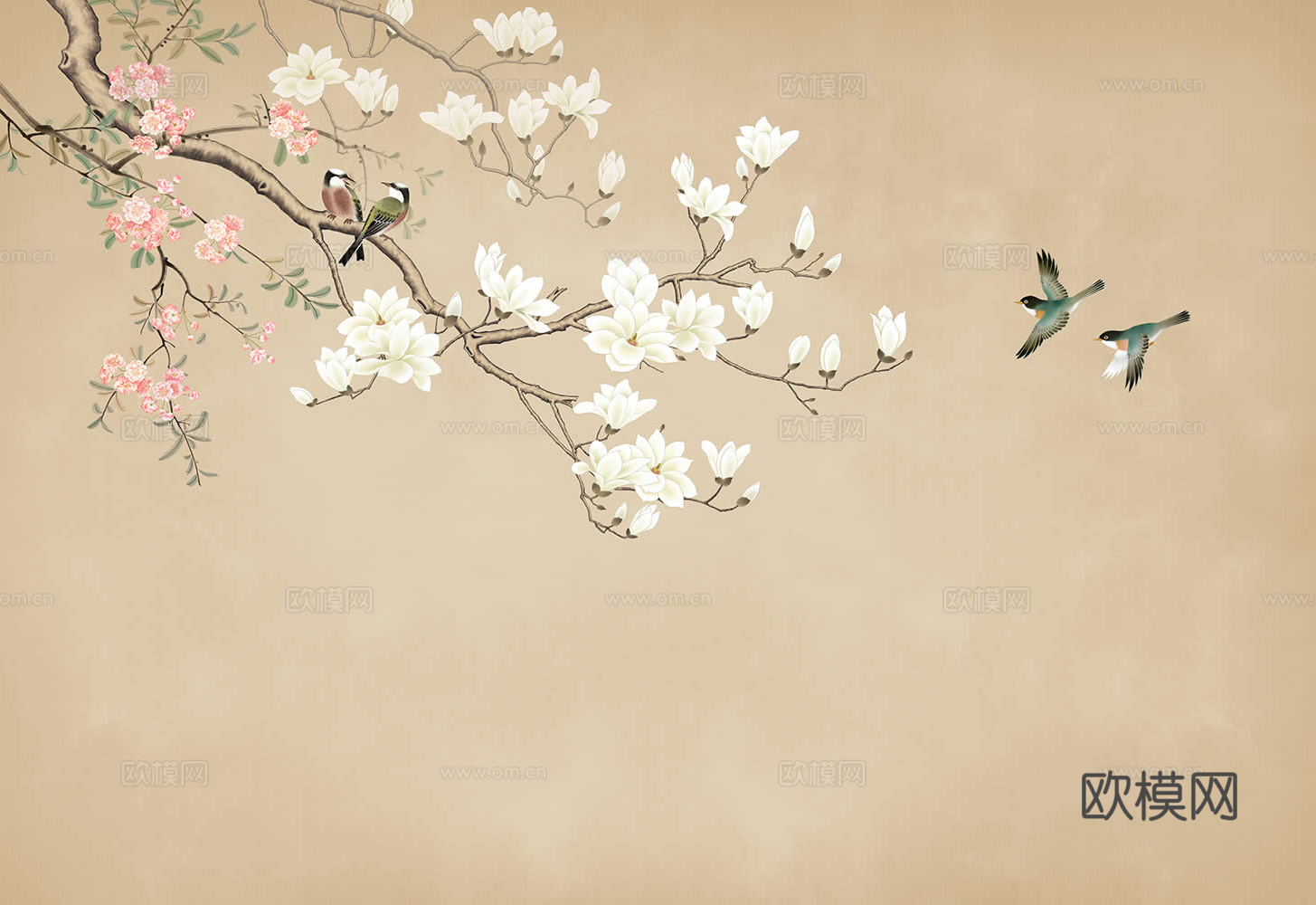 山茶花花鸟壁纸