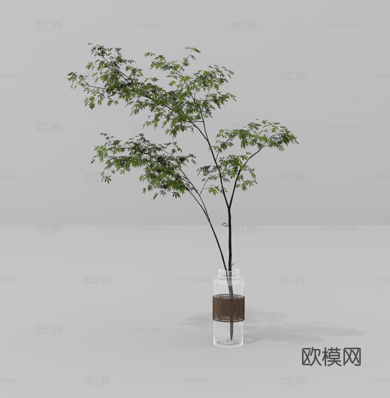 植物摆件su模型