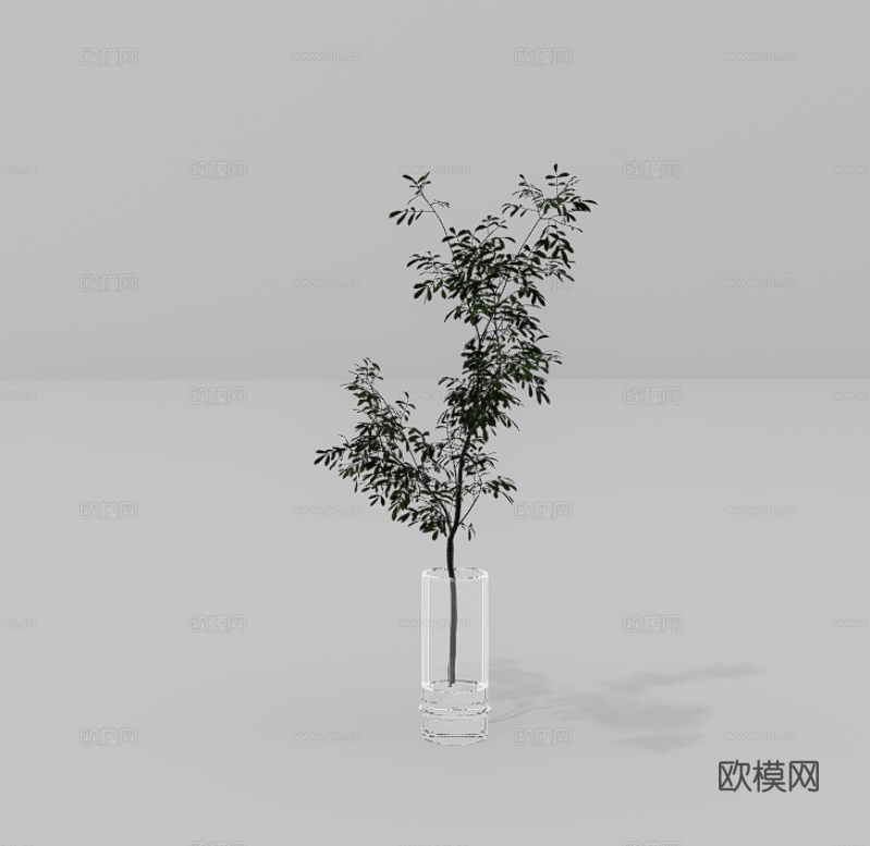 植物摆件su模型