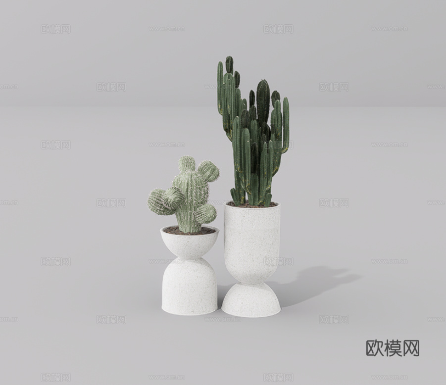绿植盆栽su模型