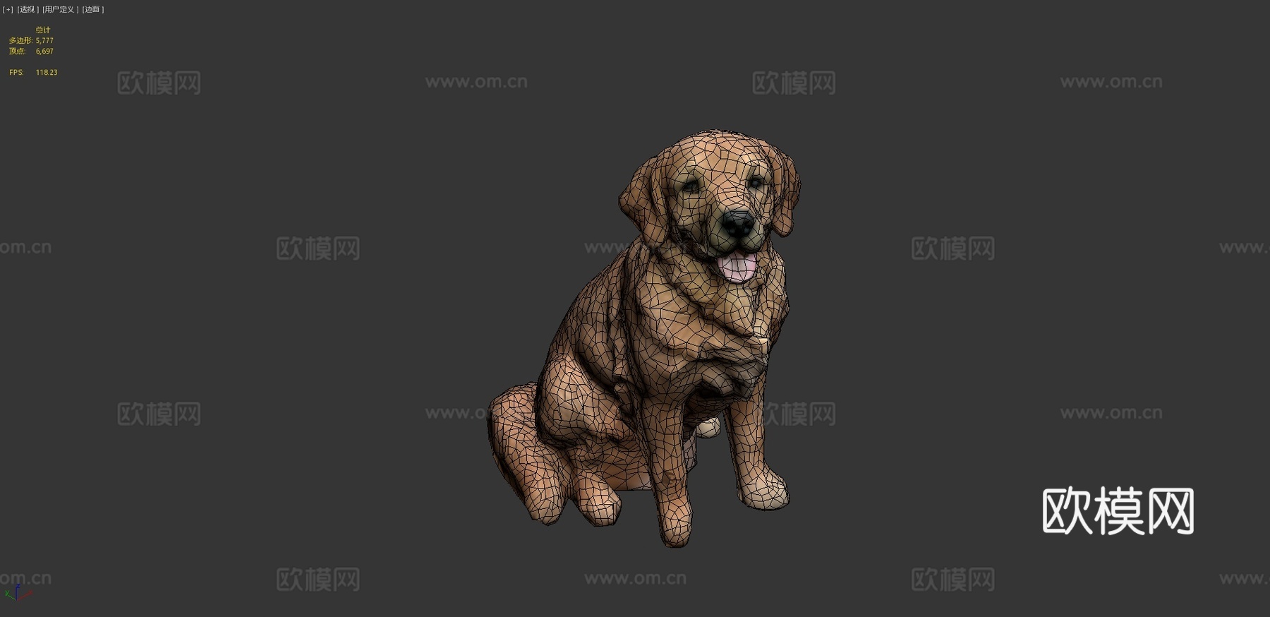 金毛寻回犬su模型