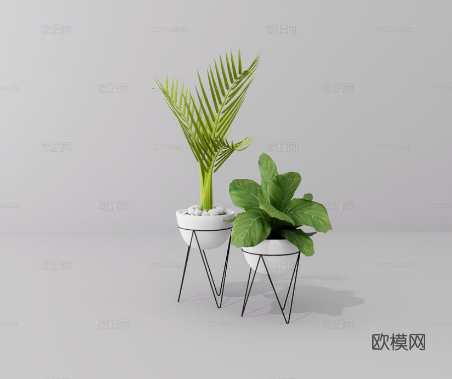 绿植盆栽su模型