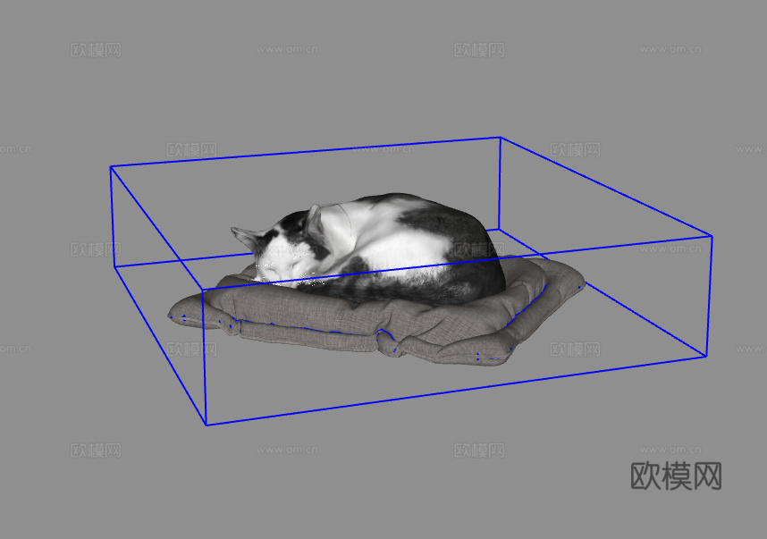 猫su模型