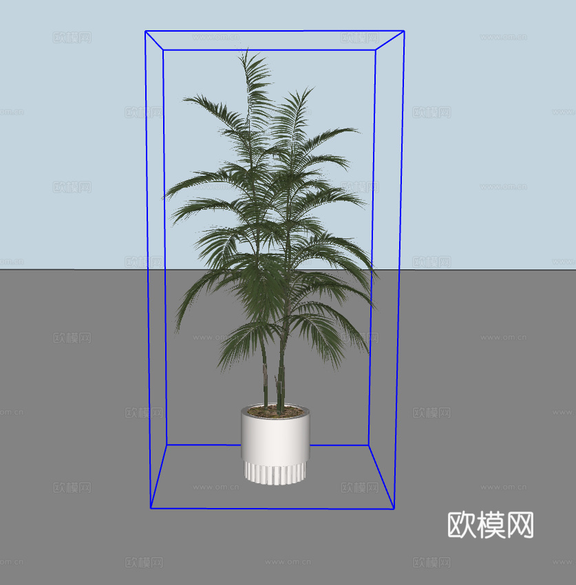 绿植盆栽su模型