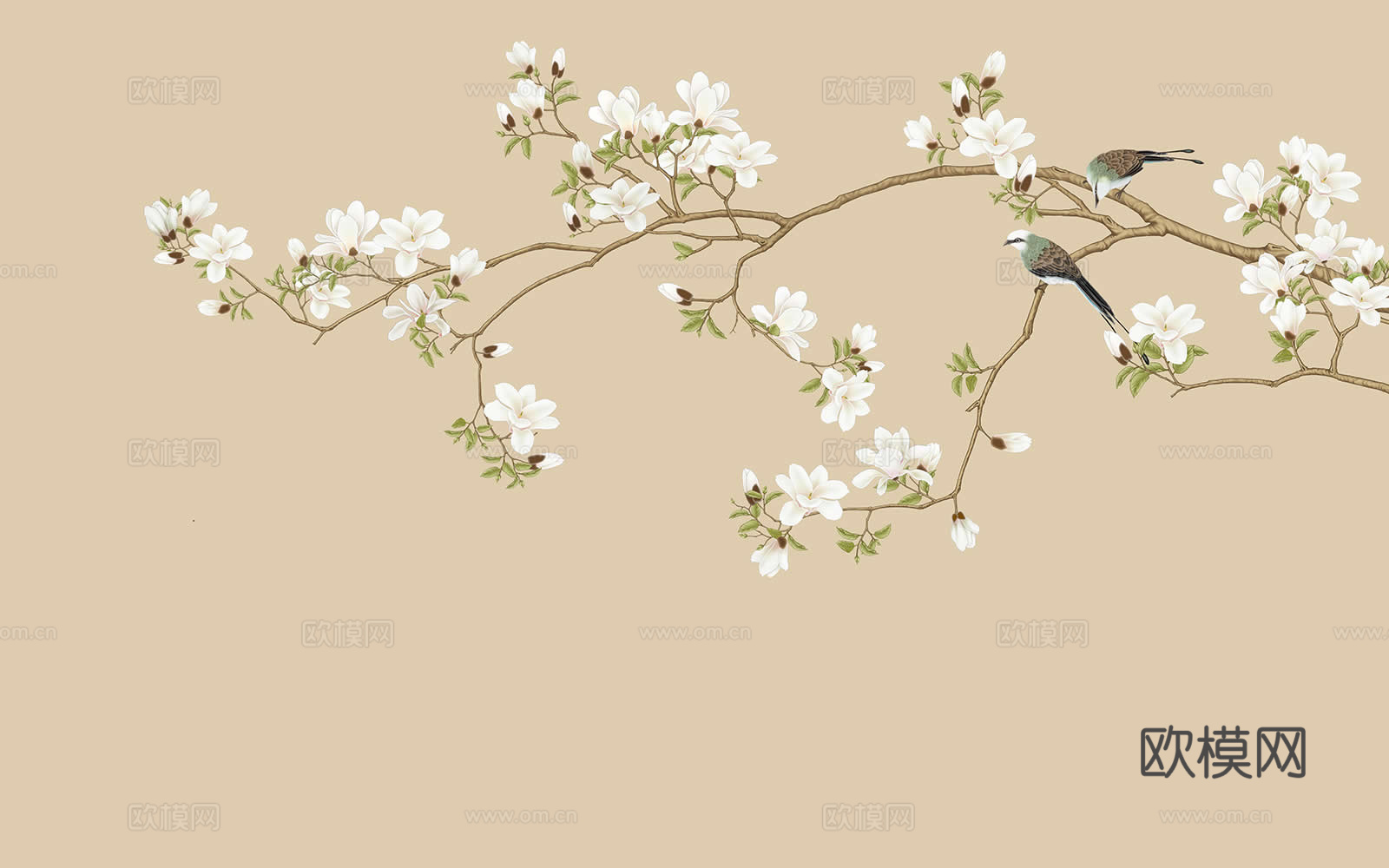 玉兰花鸟壁纸