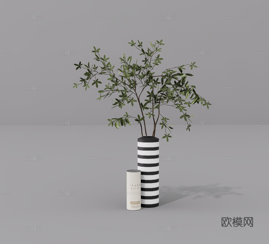 植物摆件su模型