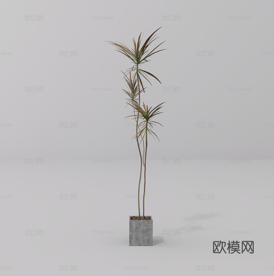 绿植盆栽su模型