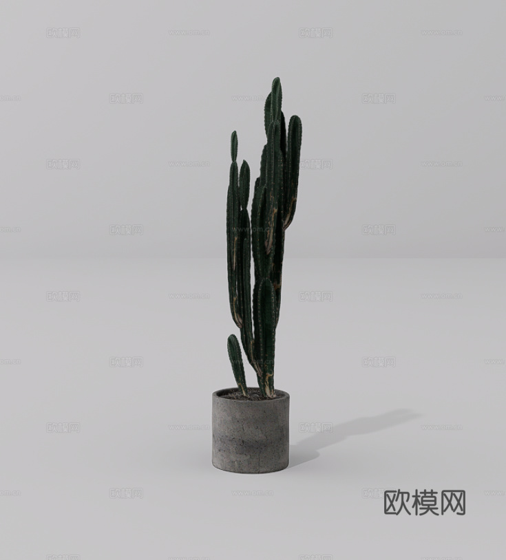 绿植盆栽su模型