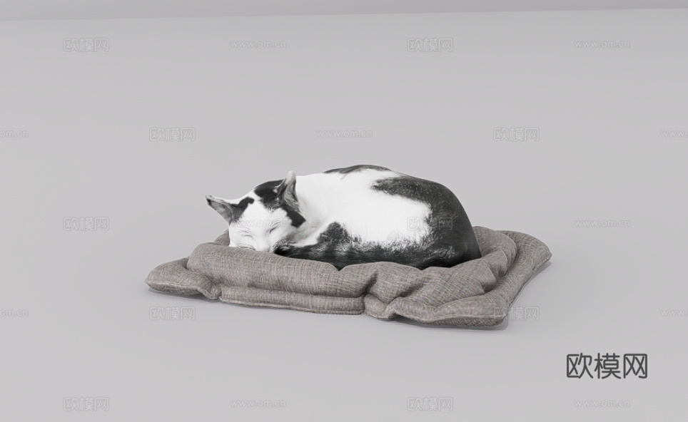 猫su模型