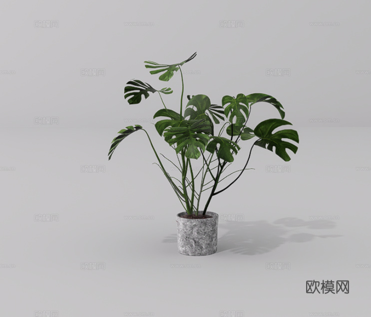 绿植盆栽su模型