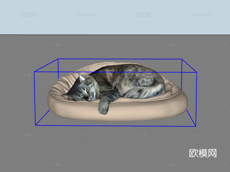 猫su模型