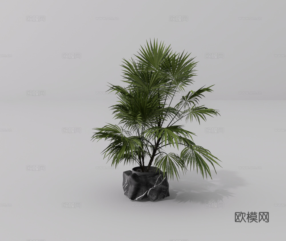 绿植盆栽su模型