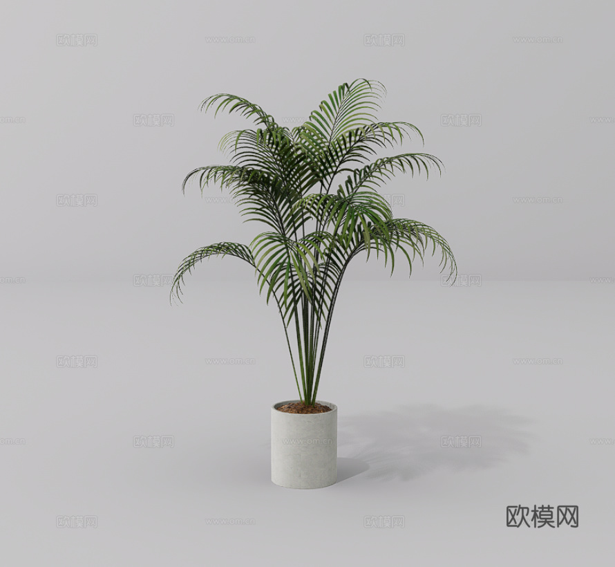 绿植盆栽su模型