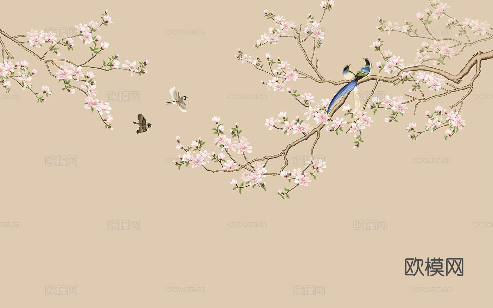玉兰花花鸟壁纸