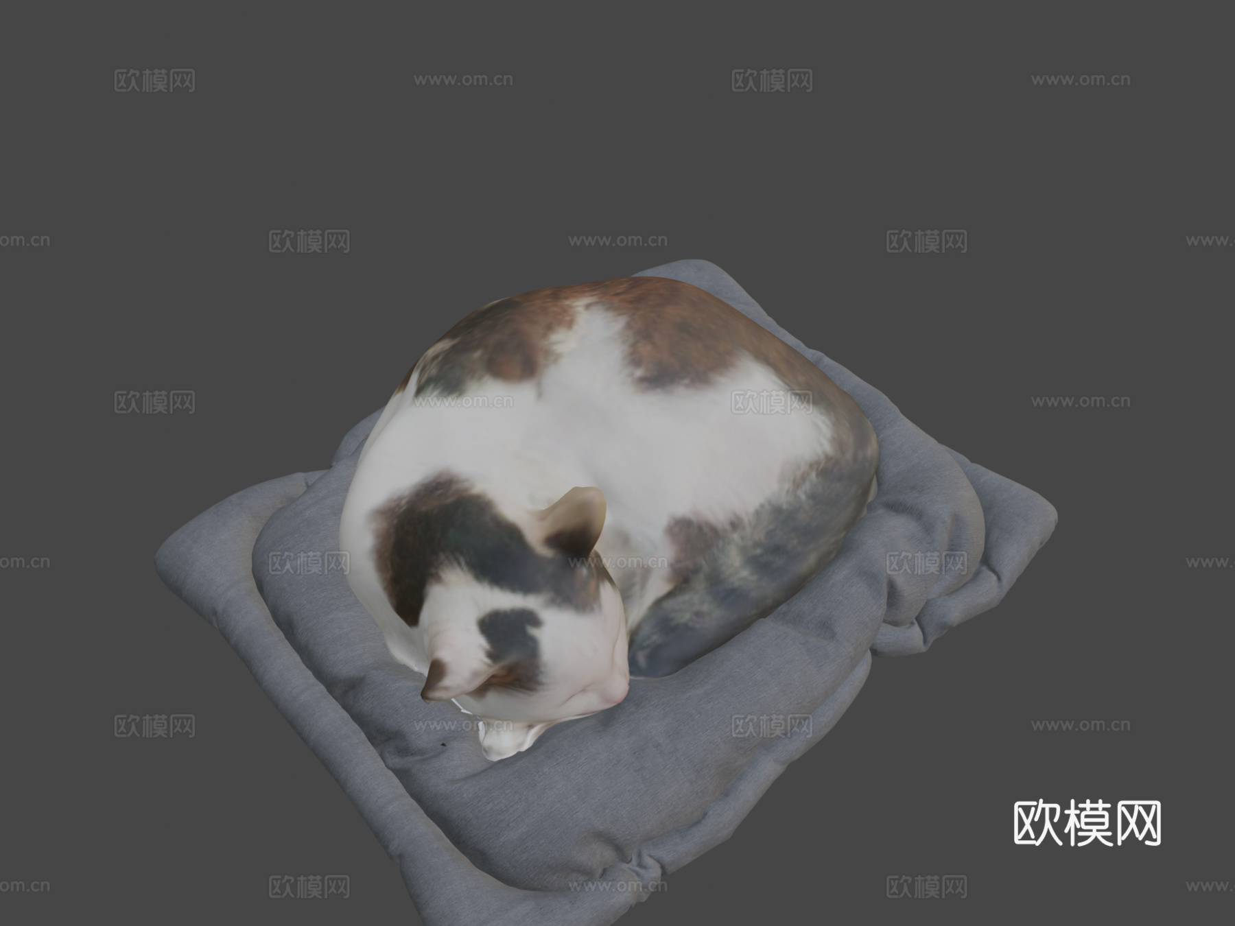 猫su模型
