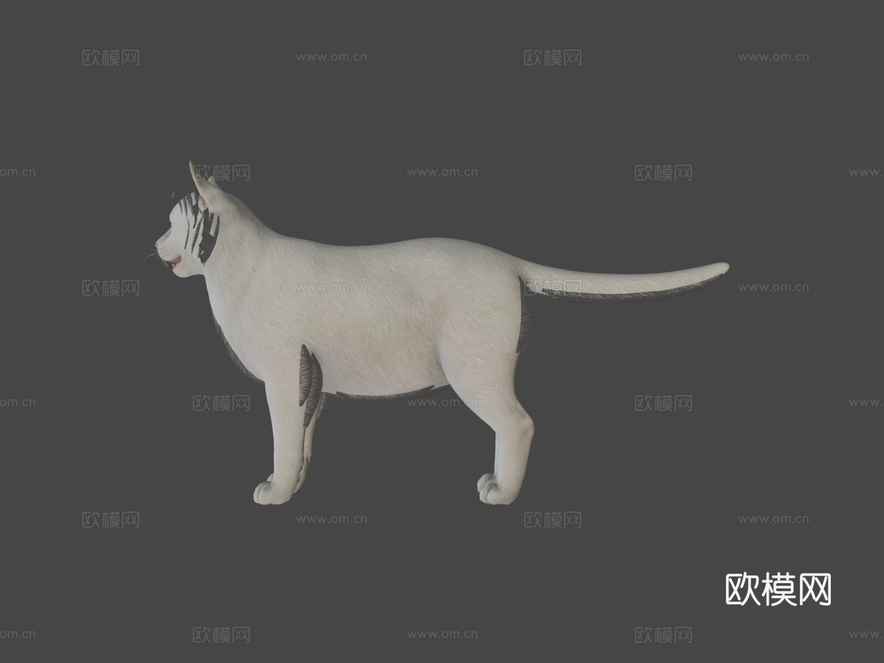 胖猫su模型