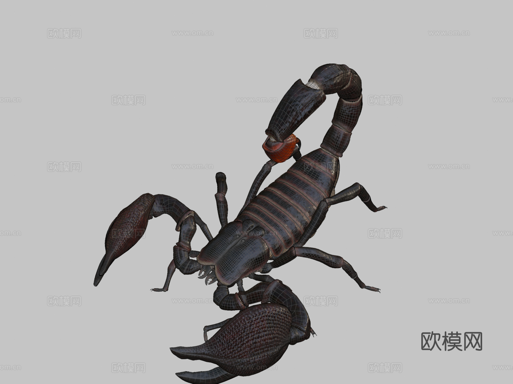 蝎子su模型下载（渲染图2）