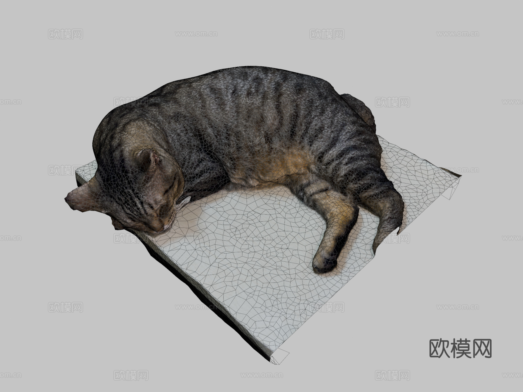桌上睡猫-3D扫描su模型