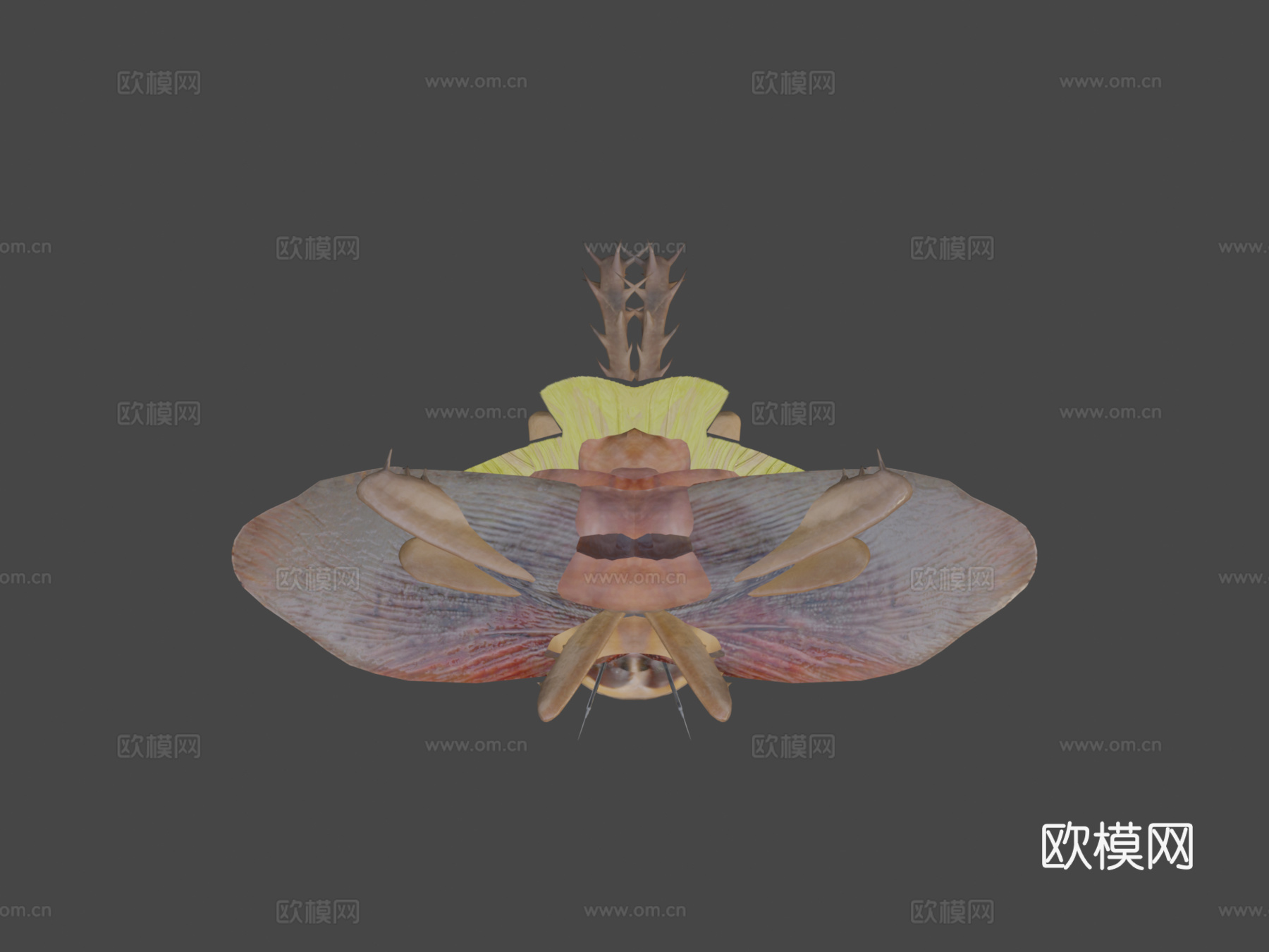 美洲蟑螂su模型下载（渲染图7）