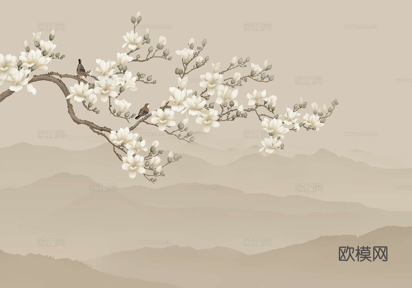 玉兰花壁纸
