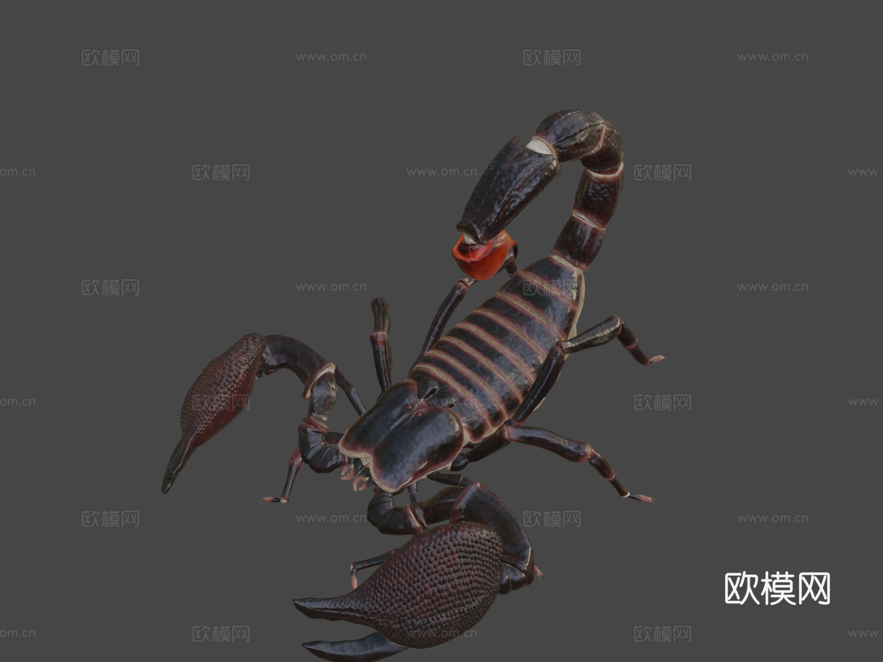蝎子su模型下载（渲染图5）