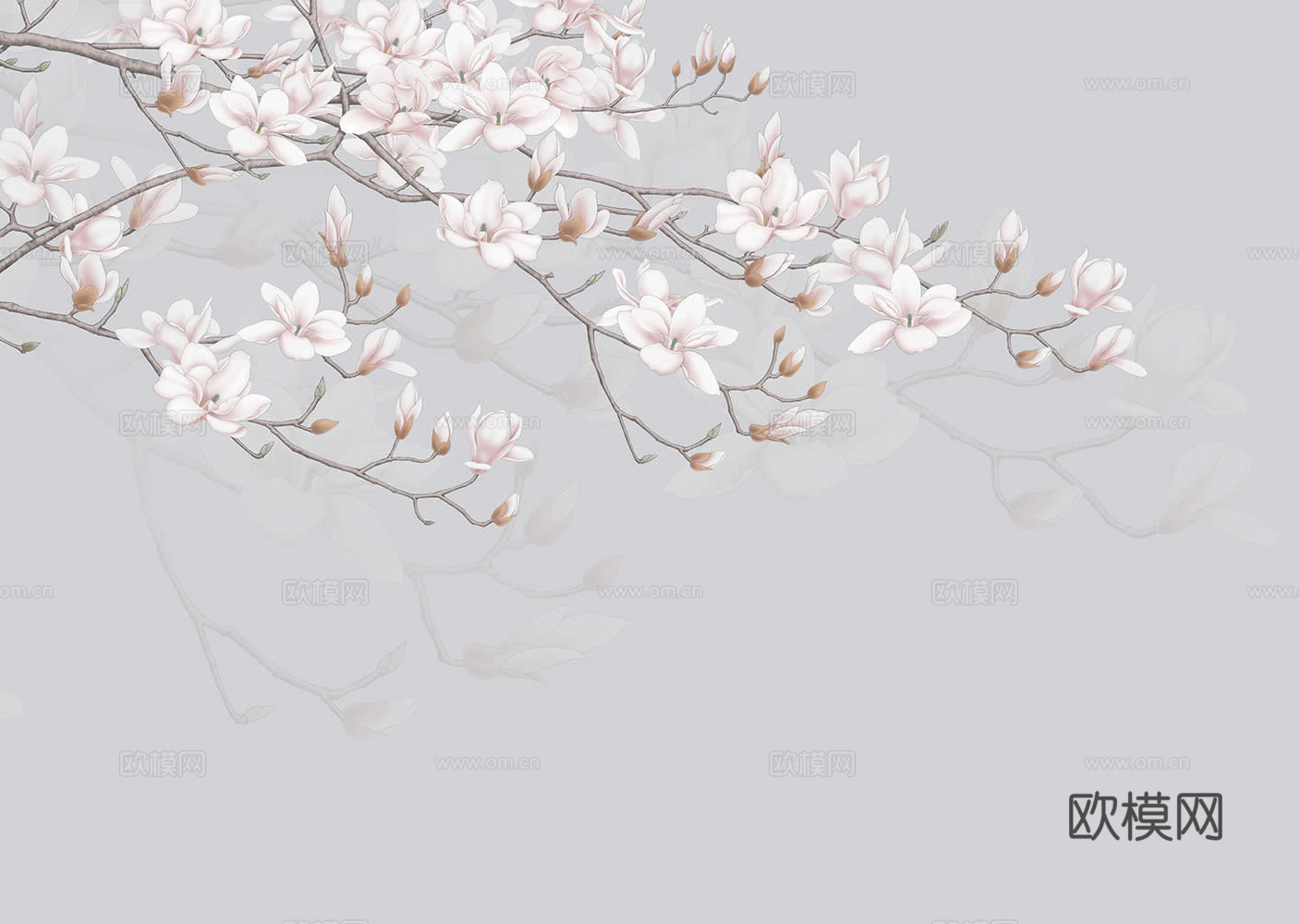 玉兰花壁纸