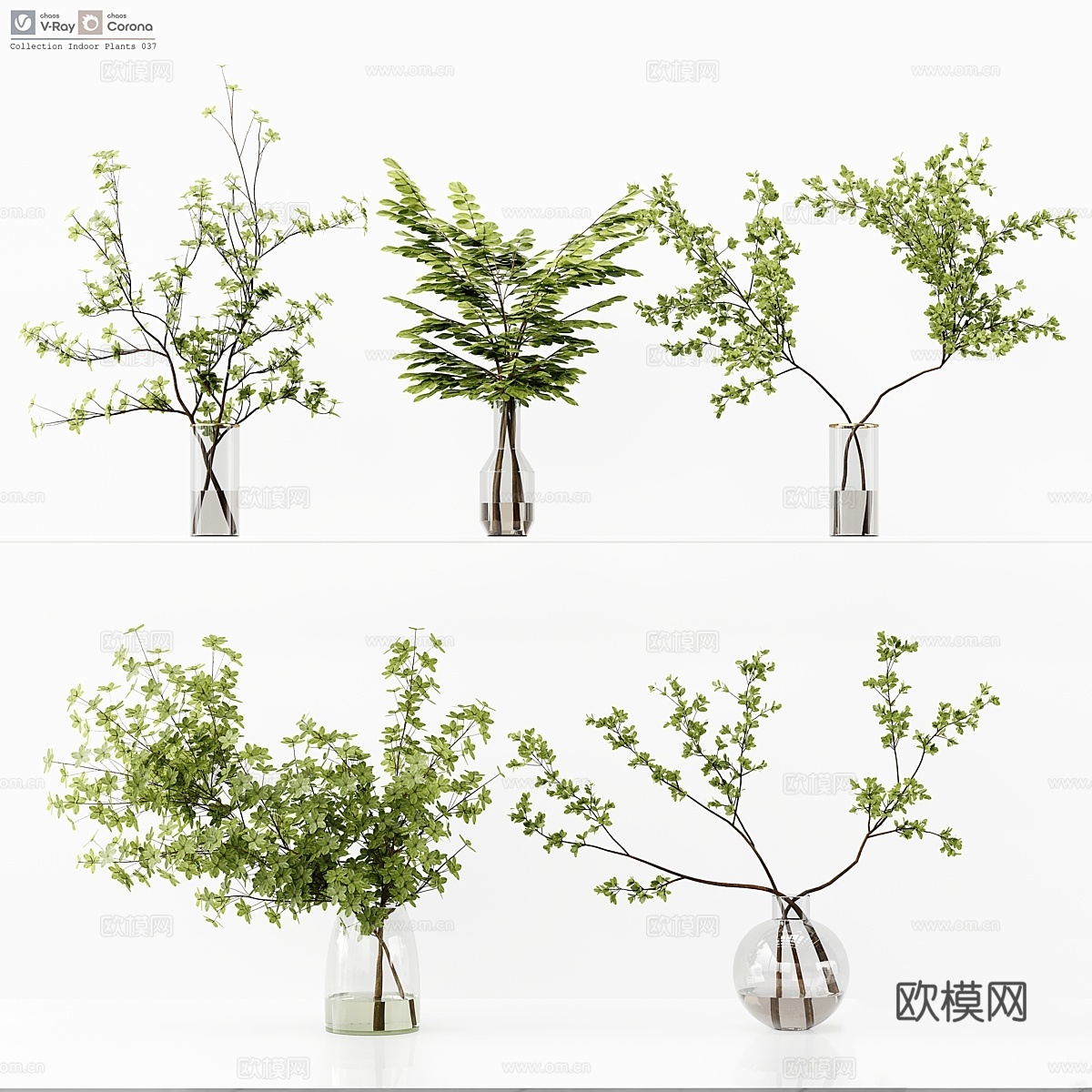 室内植物收藏 0373d模型下载