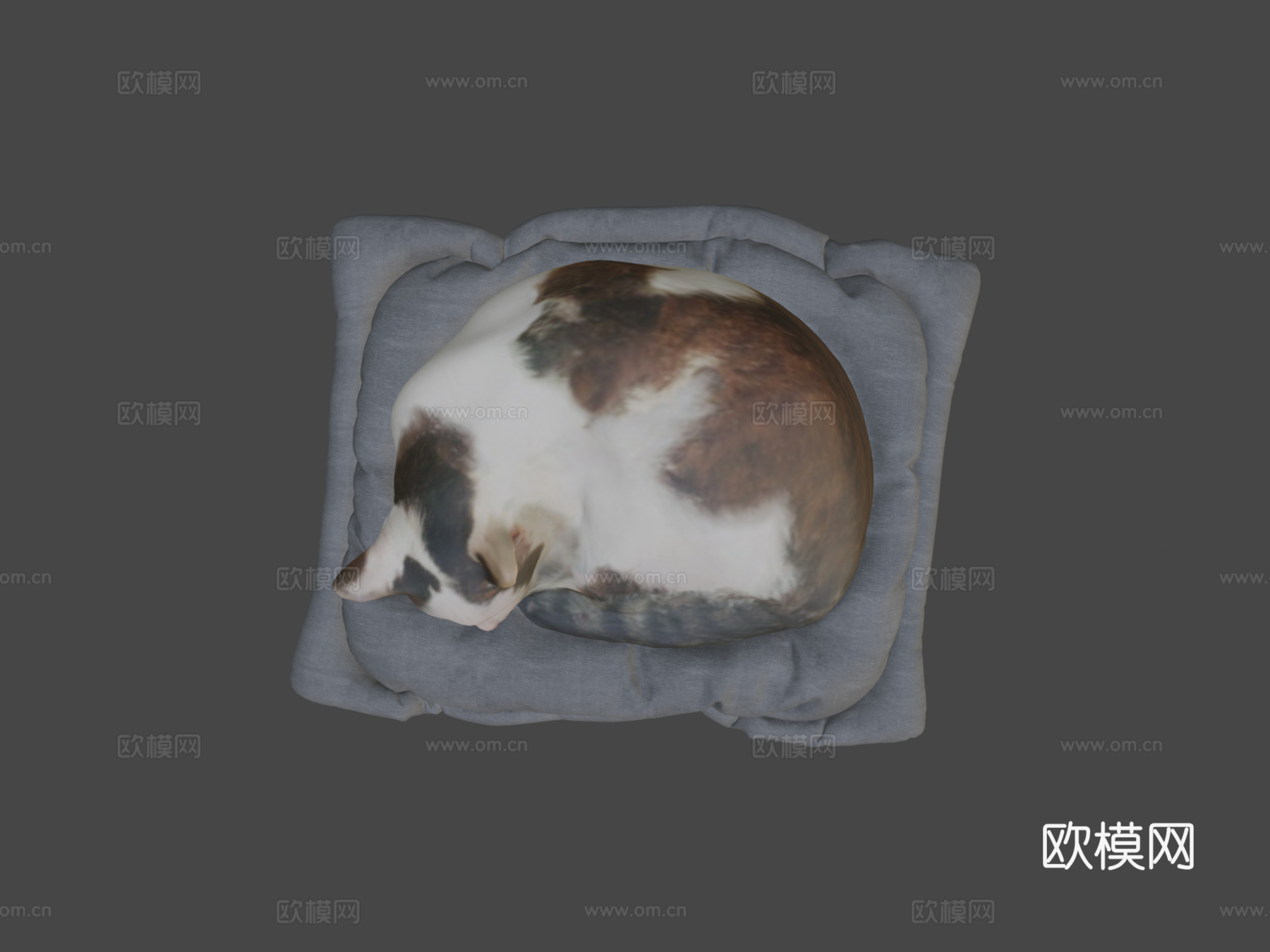 猫su模型