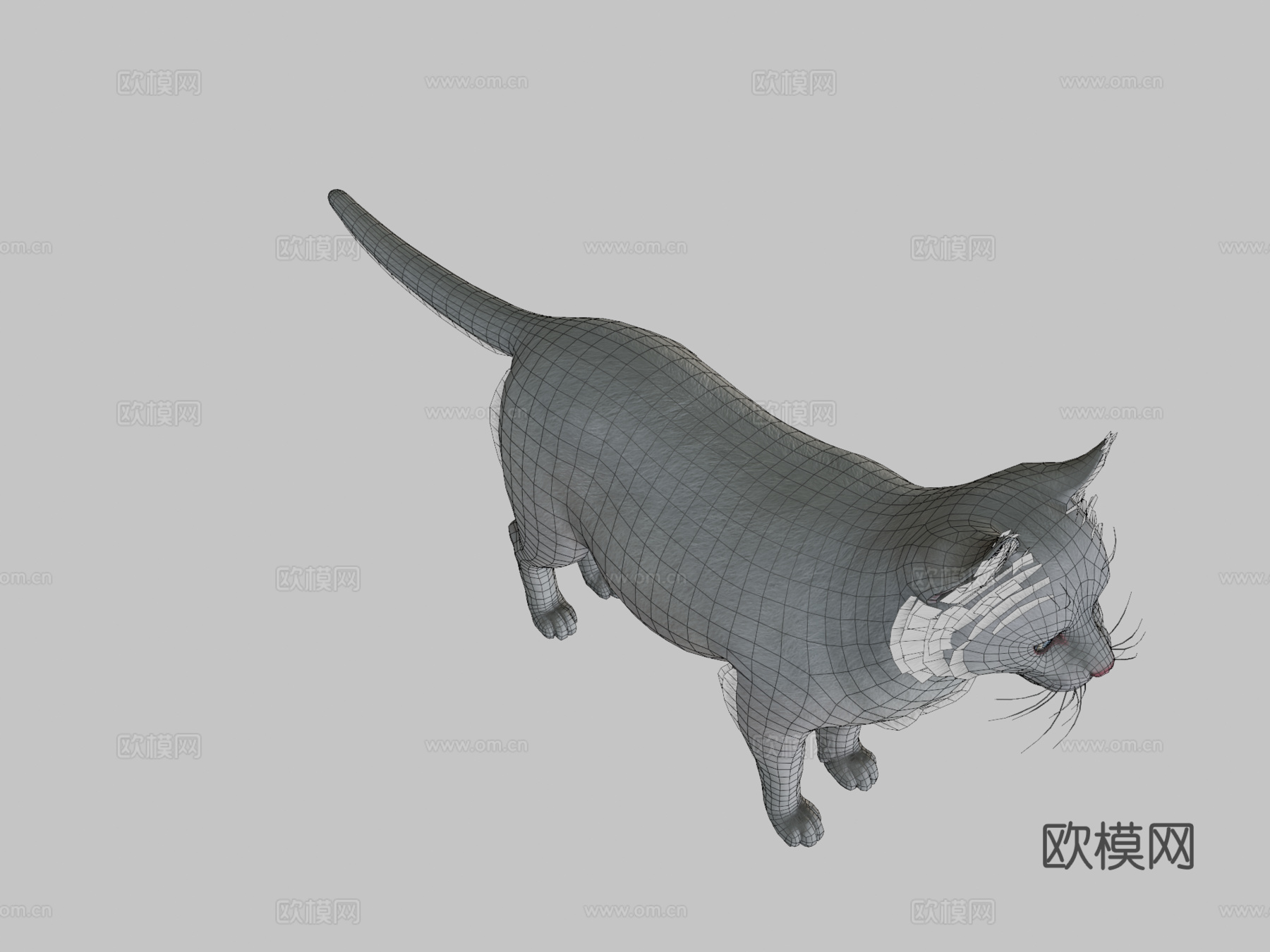 胖猫su模型