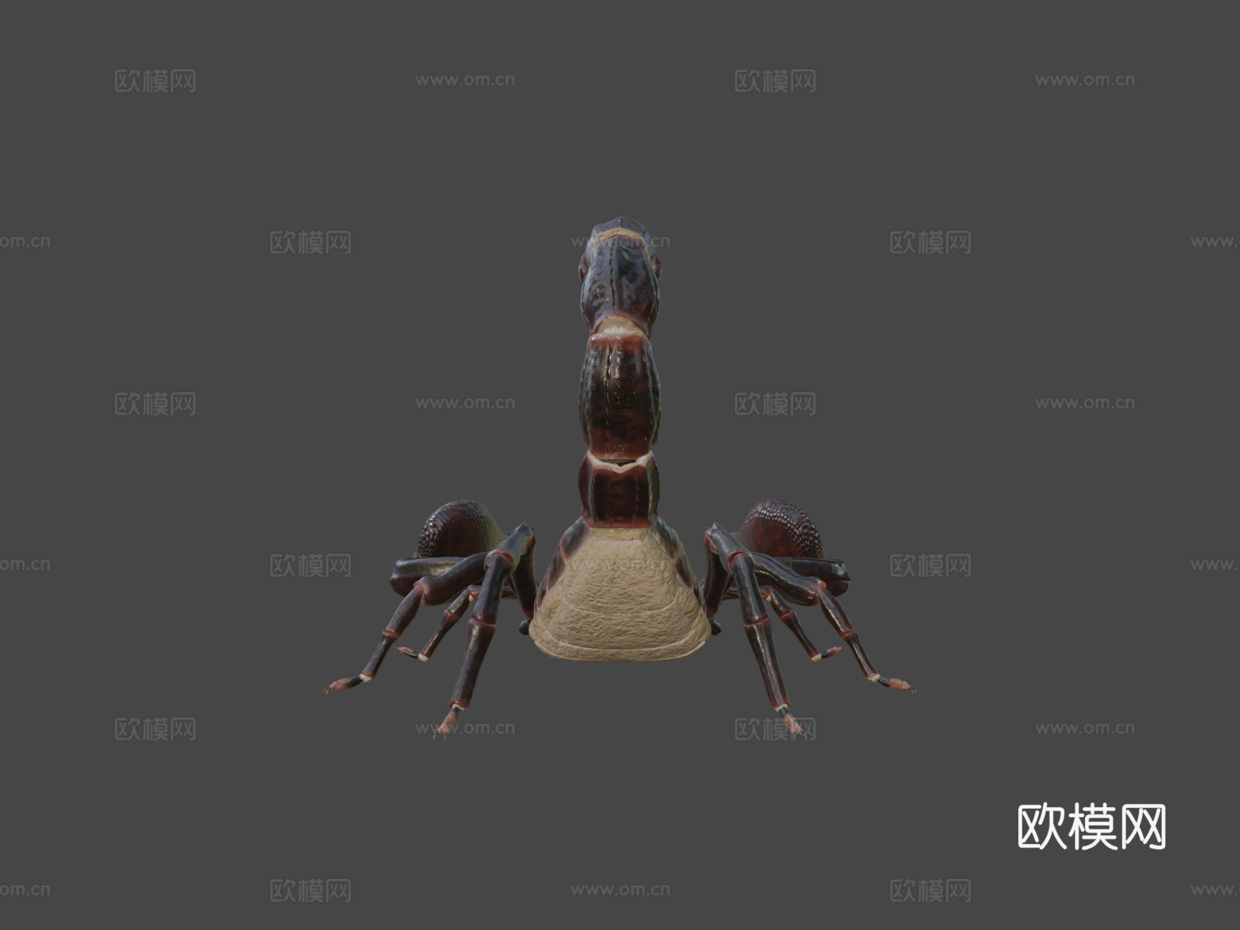 蝎子su模型下载（渲染图6）