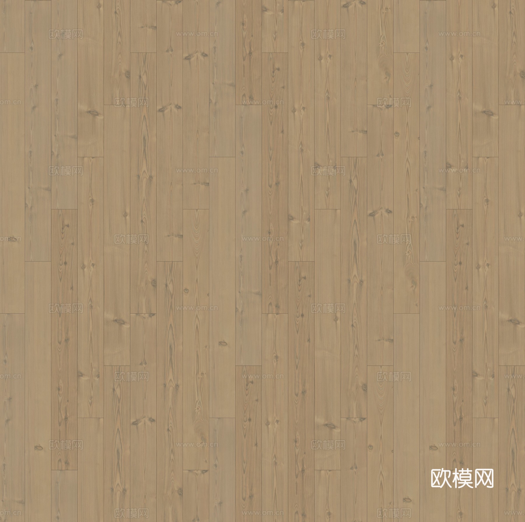 无缝灰色橡木木地板