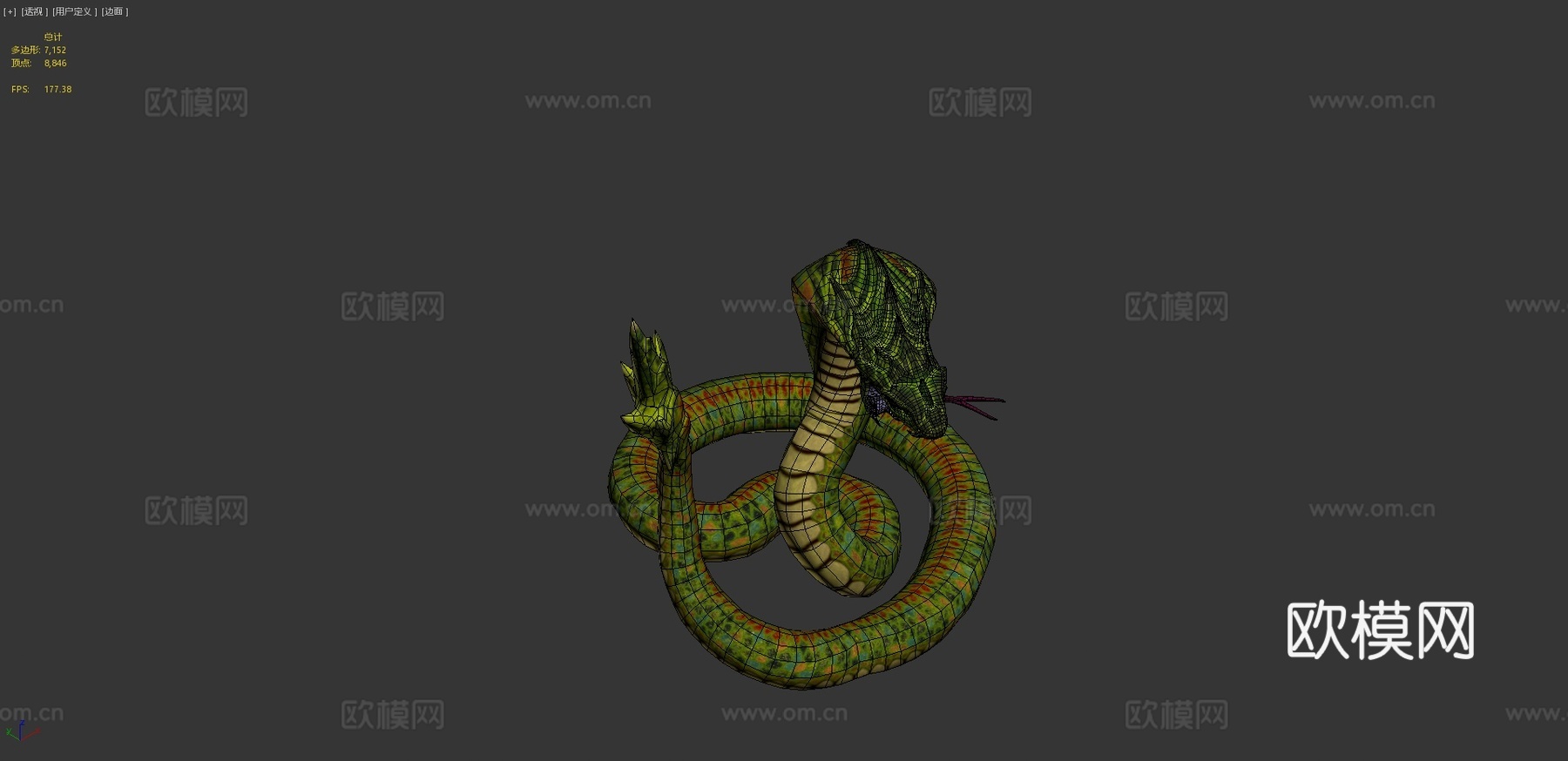 龙首眼镜蛇su模型