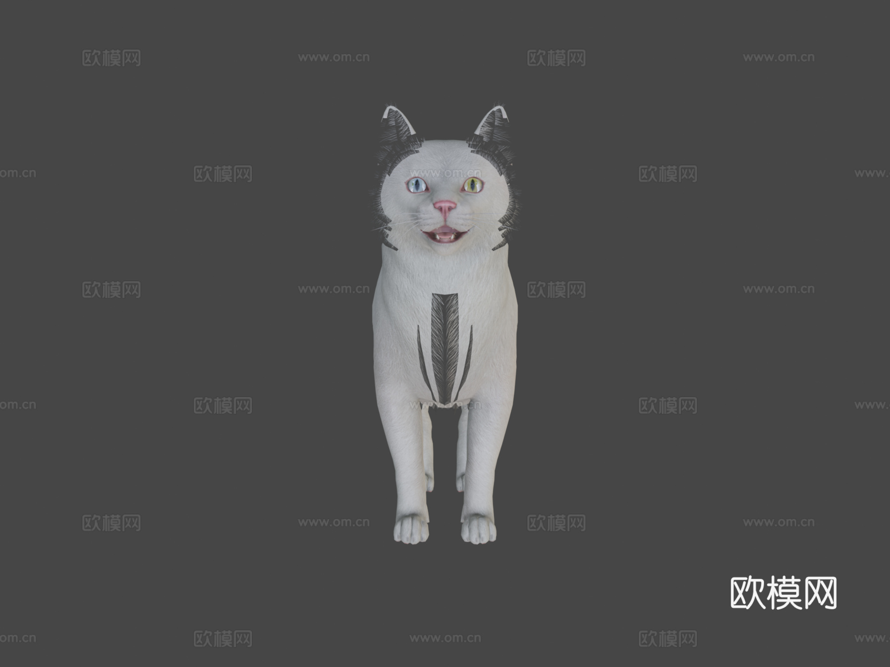 胖猫su模型