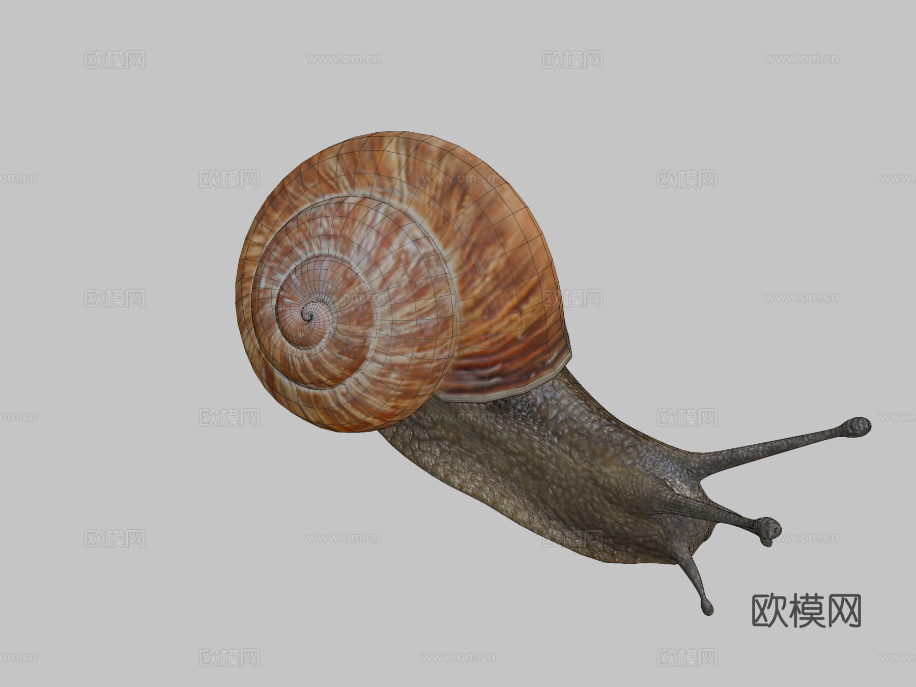 蜗牛su模型
