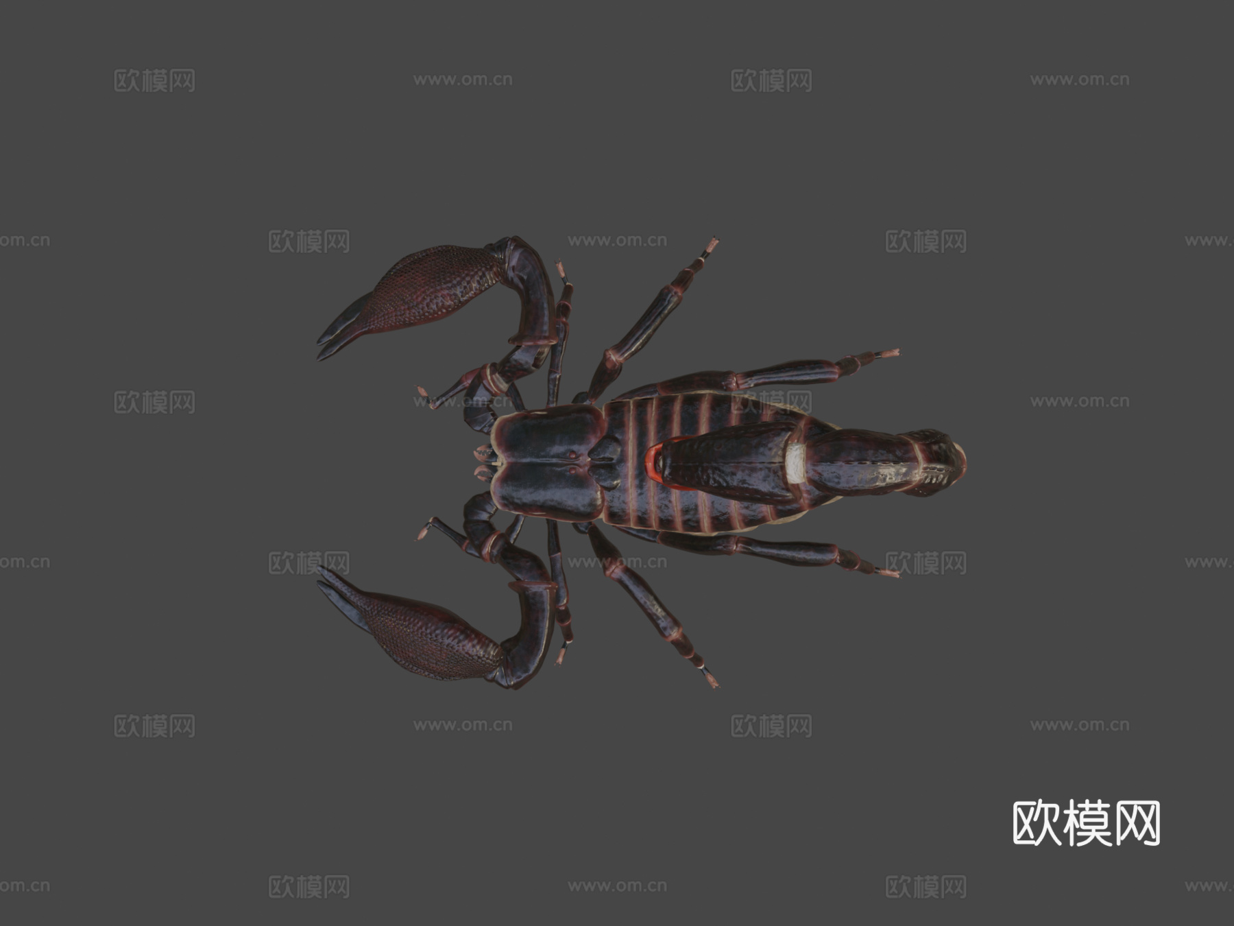 蝎子su模型下载（渲染图8）